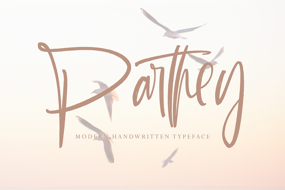 Parthey, a Script Font by pineungtype (Photo 1 of 10)