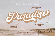 Paradiso Bold Script, a Script Font by ngene (Thumbnail 10 of 11)