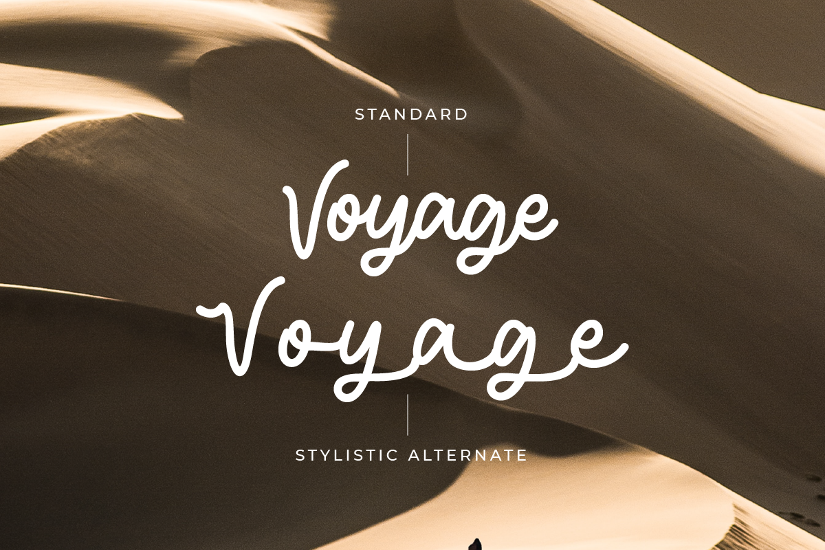 Mondany Monoline Font (Updated!), a Script Font by Prestigetype (Photo 3 of 6)