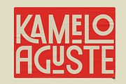 Pronell – Modern Retro Display Font, a Sans Serif Font by Typebae (Thumbnail 4 of 8)