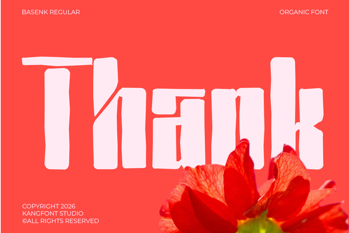 Basenk – Bold Organic Playful Displa, a Sans Serif Font by kangfont Studio (Photo 9 of 10)