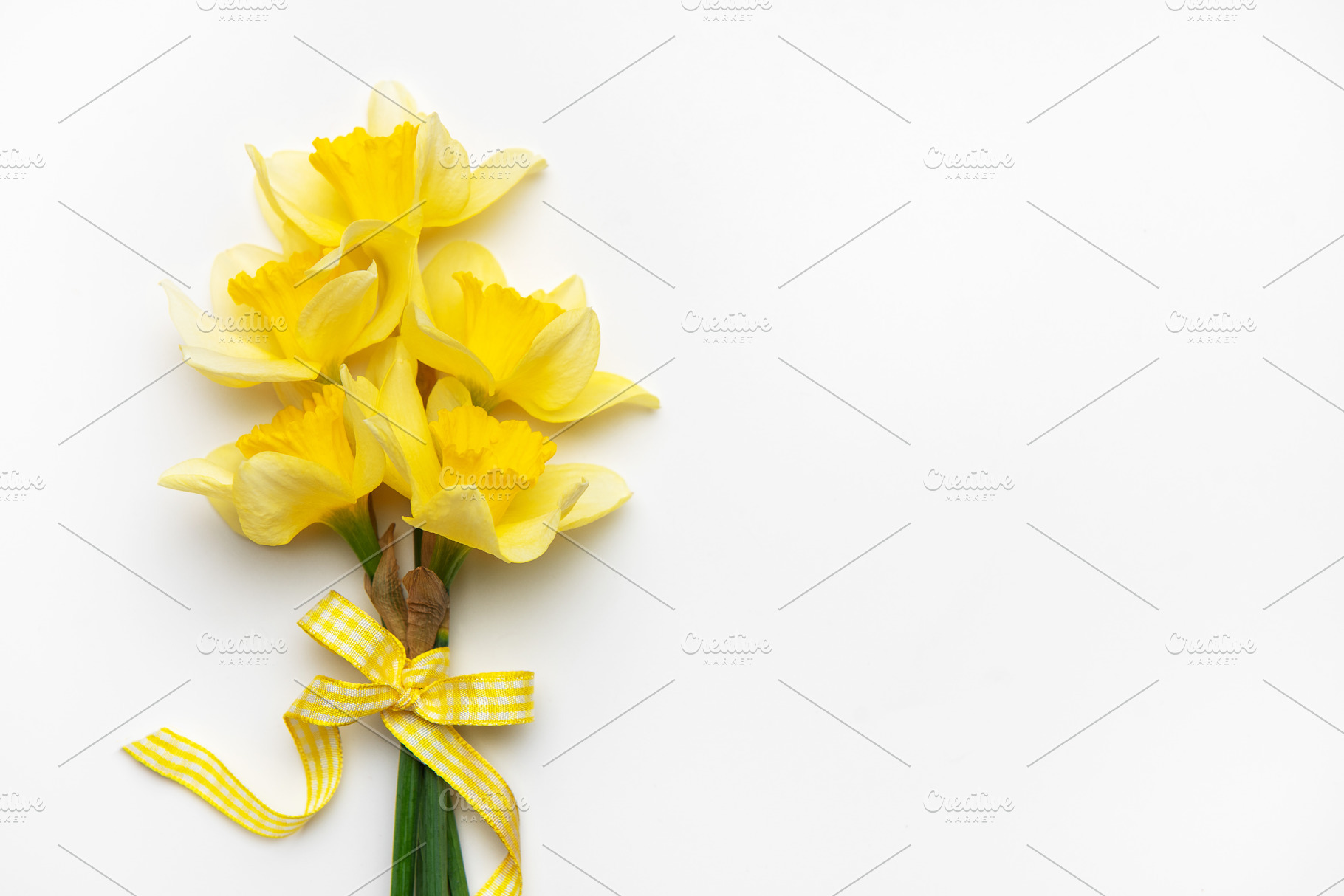 Yellow daffodils with ribbon bow lying on white background, a Nature Photo by Olena Rudo