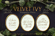 Velvet Ivy – Botanical Backgrounds |, a Background Graphic by Aga Silva (Thumbnail 5 of 9)