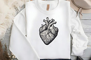 Antique Anatomy Overlays Set, an Illustration by DreamCafeArt (Thumbnail 4 of 7)