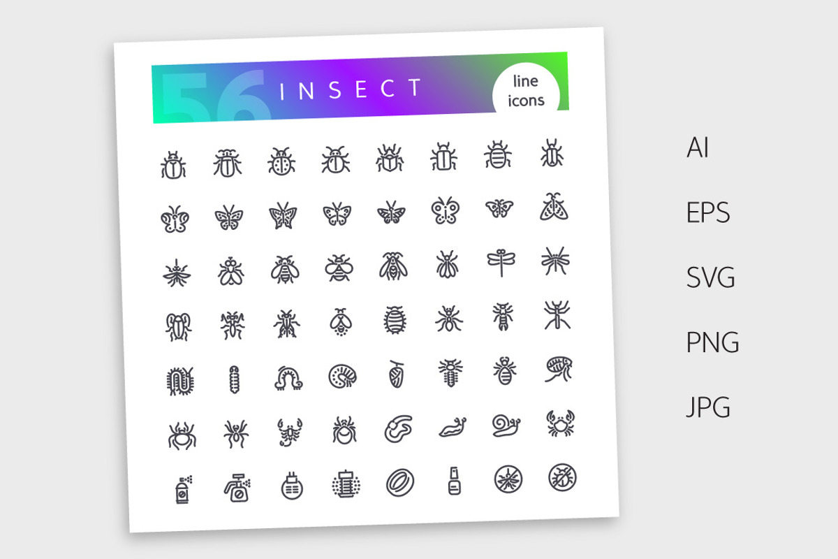 Insect Line Icons Set, an Outline Icon by Voysla's Shop (Photo 4 of 4)