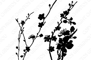 Silhouette Blossom Flowers Background Pattern