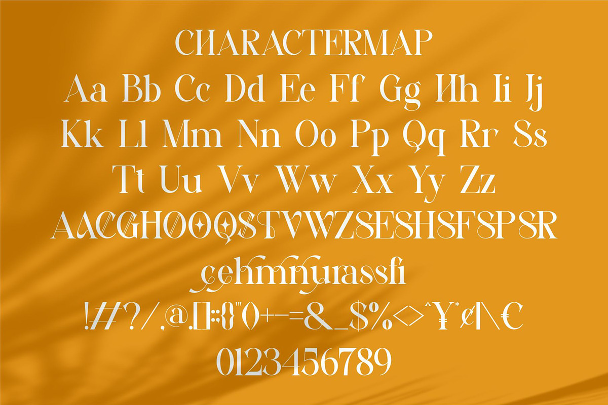 Trafise || Modern Serif Font, a Serif Font by Idea Studio (Photo 10 of 10)