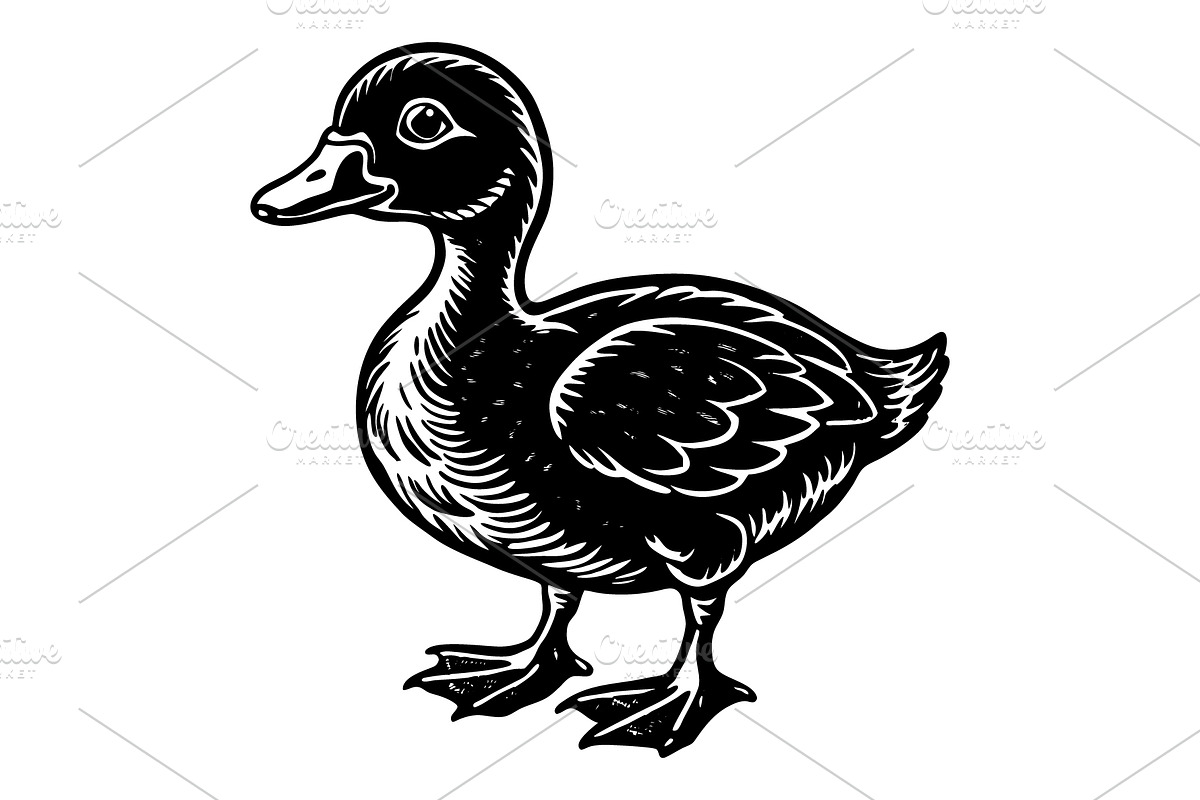 Baby duck, an Illustration by Mark1987