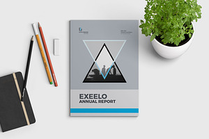 Annual Report
