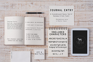 Journal Entry Handwritten Print Font