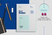 Annual Report, a Brochure Template by Elite_Standard (Thumbnail 1 of 12)