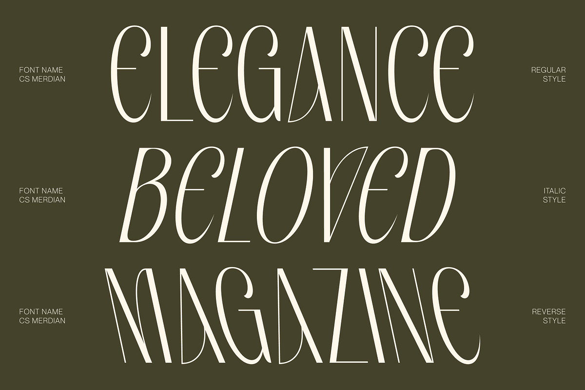CS Merdian – Elegant Sans Serif, a Sans Serif Font by Craft Supply Co. (Photo 3 of 8)