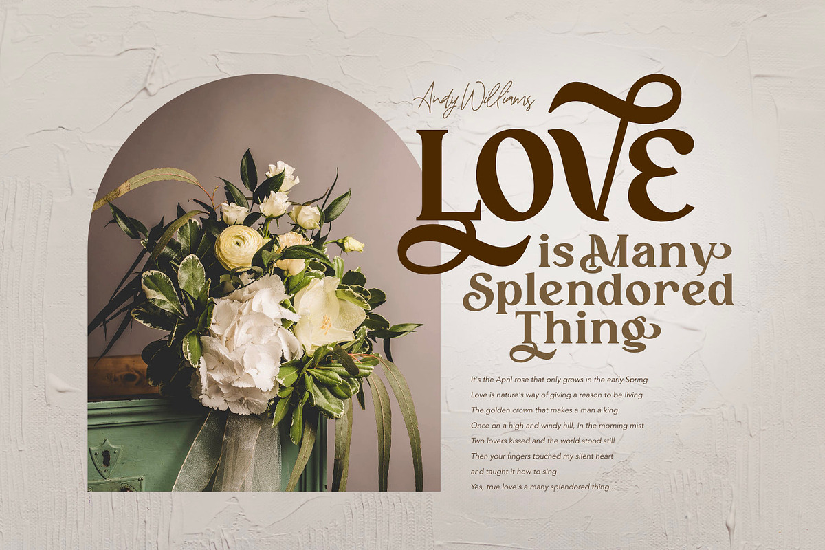 Vignettes - Feminine Type, a Serif Font by ikiiko (Photo 3 of 8)