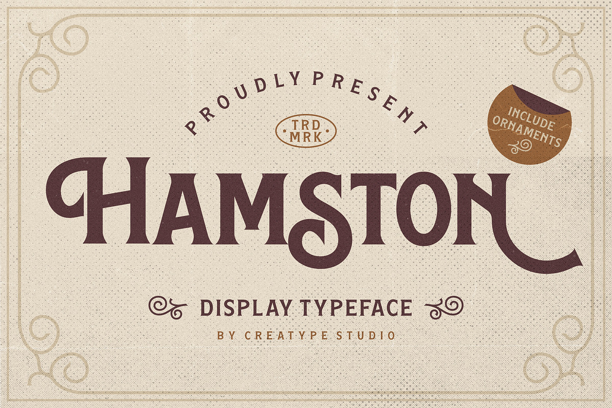 Hamston Display Vintage, a Sans Serif Font by Creatype Studio (Photo 1 of 10)