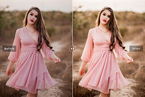 Synchrony Pro Lightroom Presets