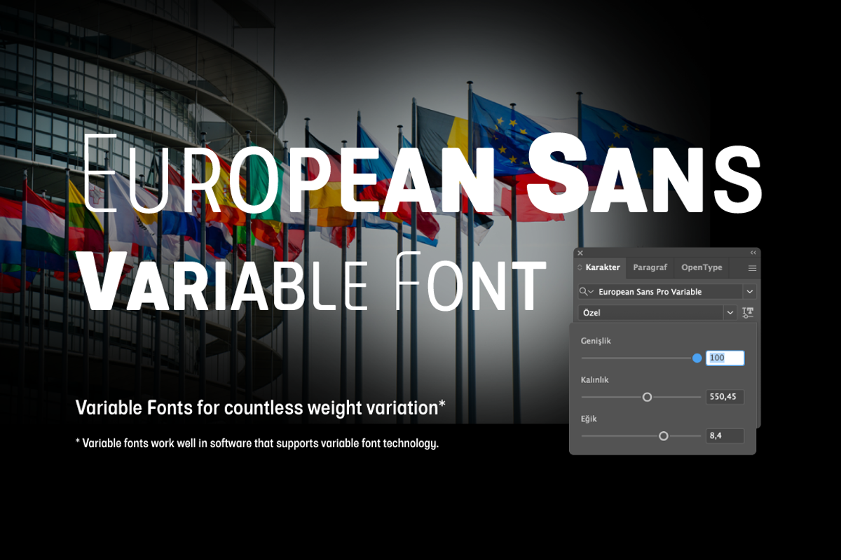 European Sans Pro Variable, a Sans Serif Font by BULENT YUKSEL (Photo 2 of 12)