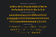 Mailyo Modern Serif Display Font, a Serif Font by timelesstype.co (Thumbnail 18 of 20)