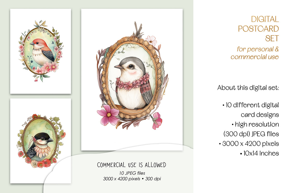 Bird Portraits Postcard Art Set, an Animal Illustration by The Dutch Lady Designs (Photo 4 of 5)