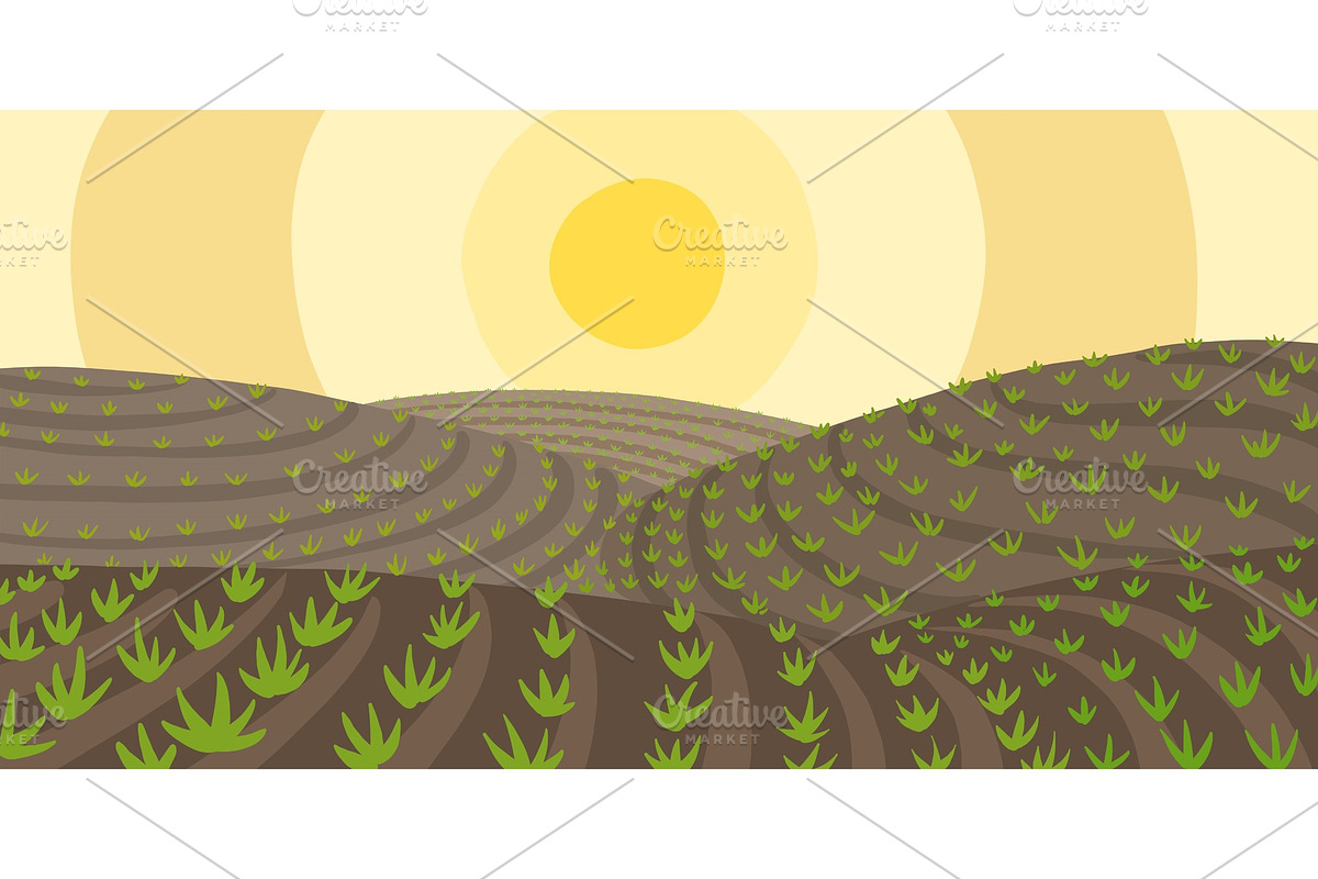 Agricultural field landscape, a Texture Graphic by Ilia Design
