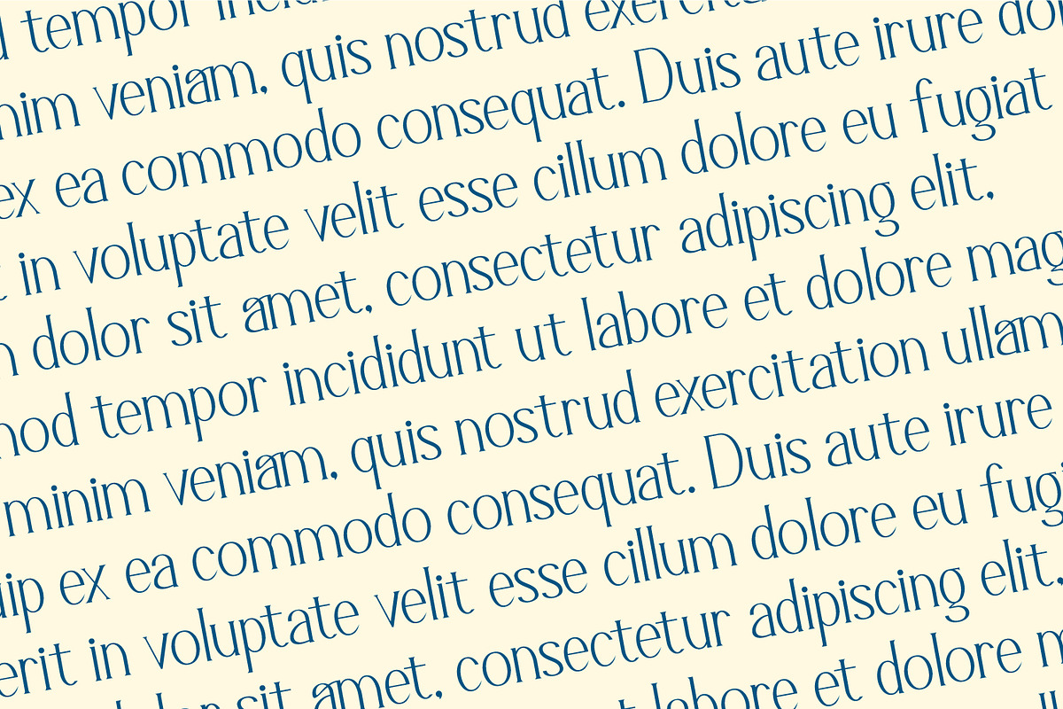 Lyrvand - Modern Serif Font, a Serif Font by Rishsketch (Photo 12 of 15)