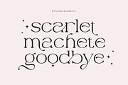 Grand Malefic, a Serif Font by Flawless And Co (Thumbnail 3 of 7)