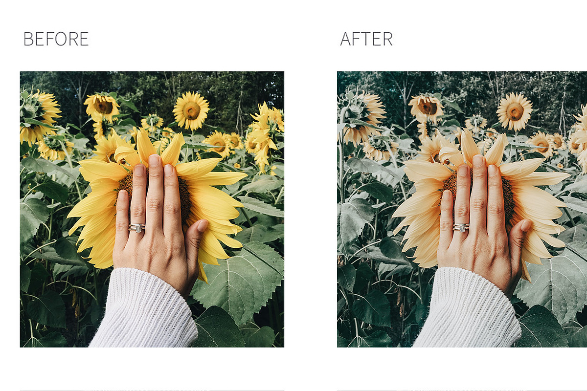 CAPRI 4 Lightroom Presets, a Plug-in Add-On by MintAndPepper (Photo 9 of 9)