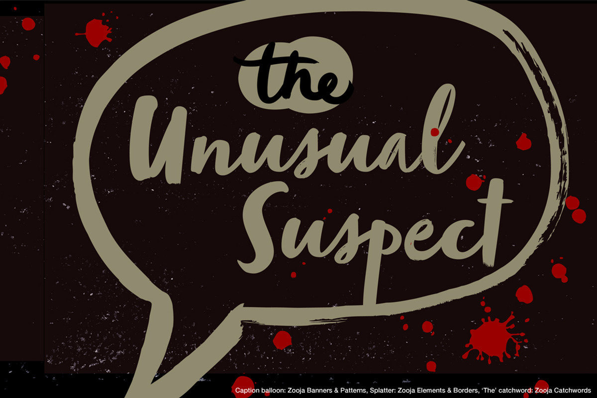 Zooja Script, a Script Font by Aerotype (Photo 7 of 17)