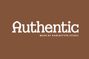 Raciya Modern Display Serif Font, a Serif Font by RantautypeStudio (Thumbnail 10 of 15)