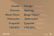 Bavistage, a Serif Font by Aluyeah Studio (Thumbnail 14 of 15)