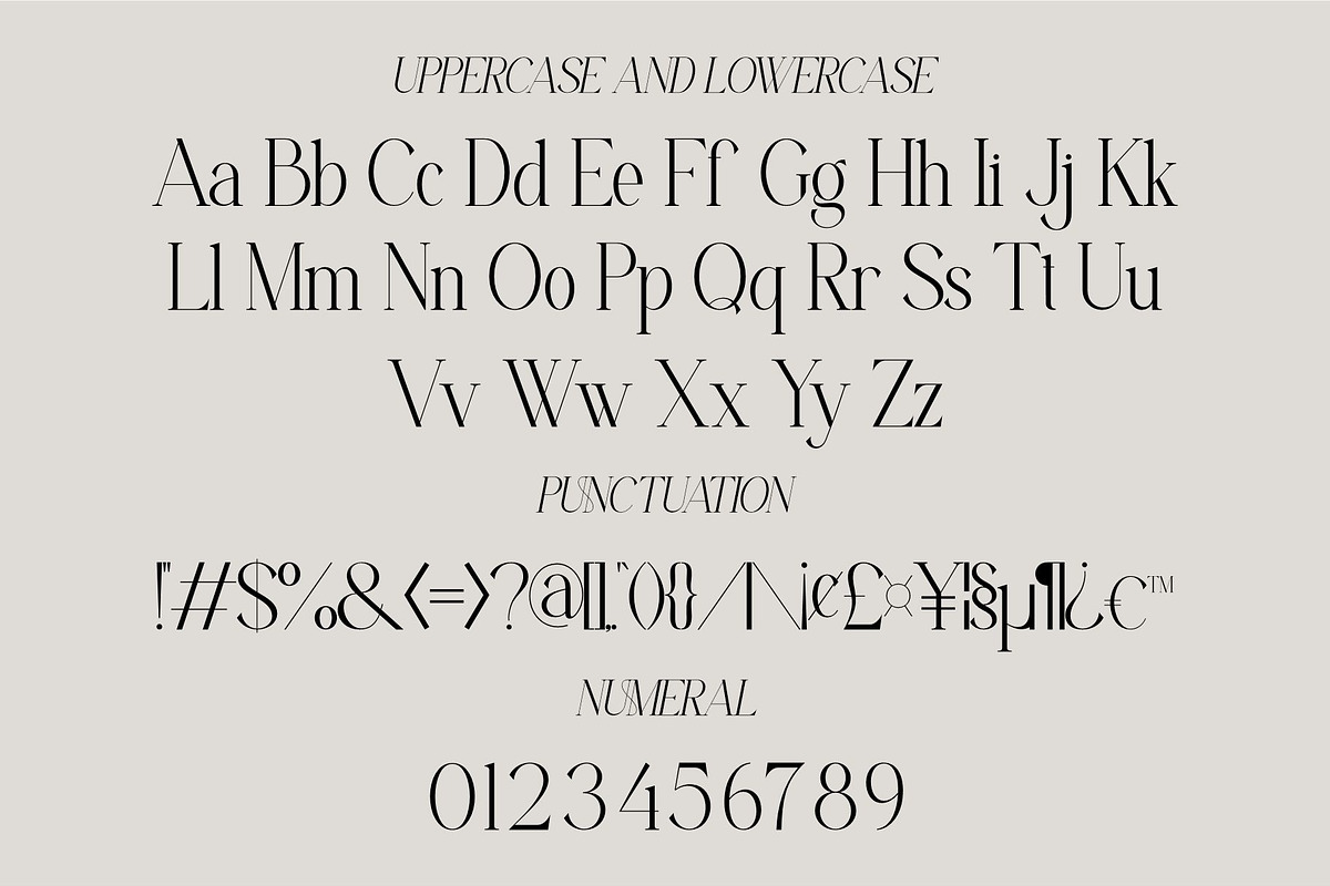 Ficoria || Modern Serif Font, a Serif Font by Idea Studio (Photo 7 of 10)