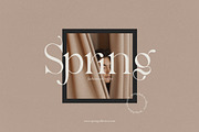 Vegawanty Modern Serif, a Serif Font by Creatype Studio (Thumbnail 2 of 9)