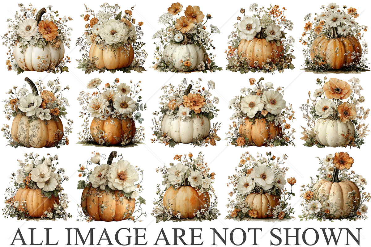 Whimsical Autumn Pumpkin Clipart, a Seasonal Illustration by Canvas Craft (Photo 4 of 10)