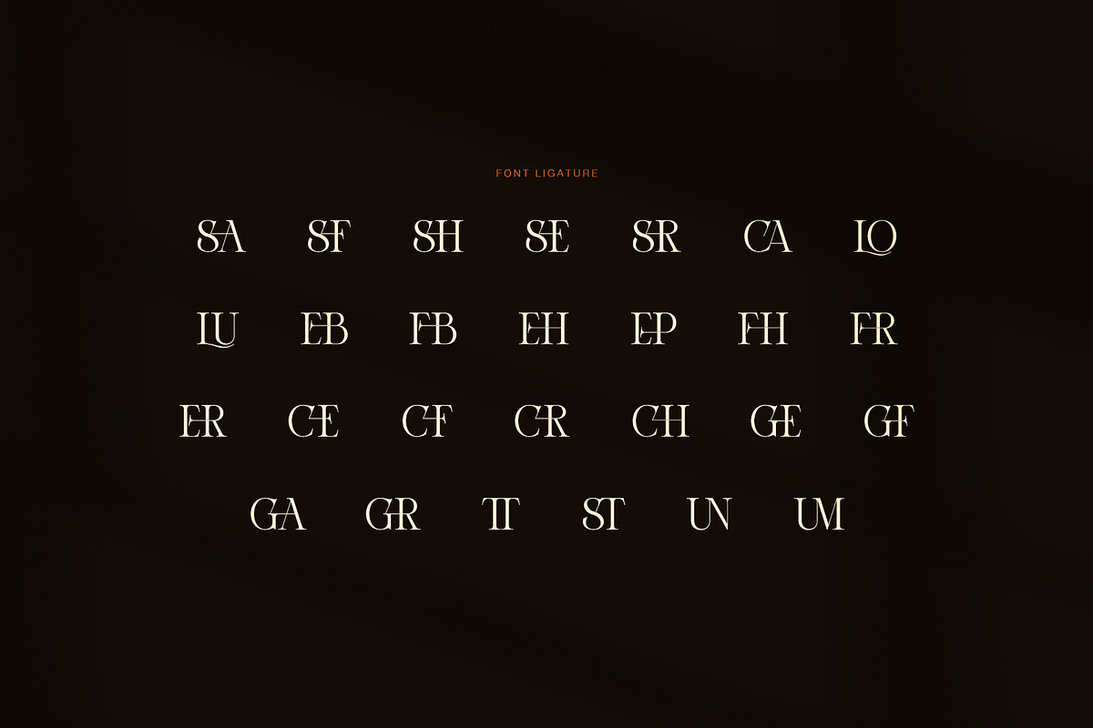 Giselo High Contrast Serif Font, a Serif Font by Graphicxell (Photo 8 of 8)