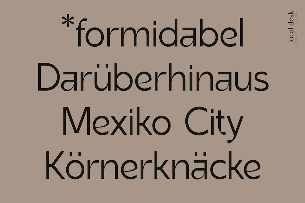 Altmark – a very unique sans, a Sans Serif Font by Local Desk Designstudio (Photo 9 of 23)
