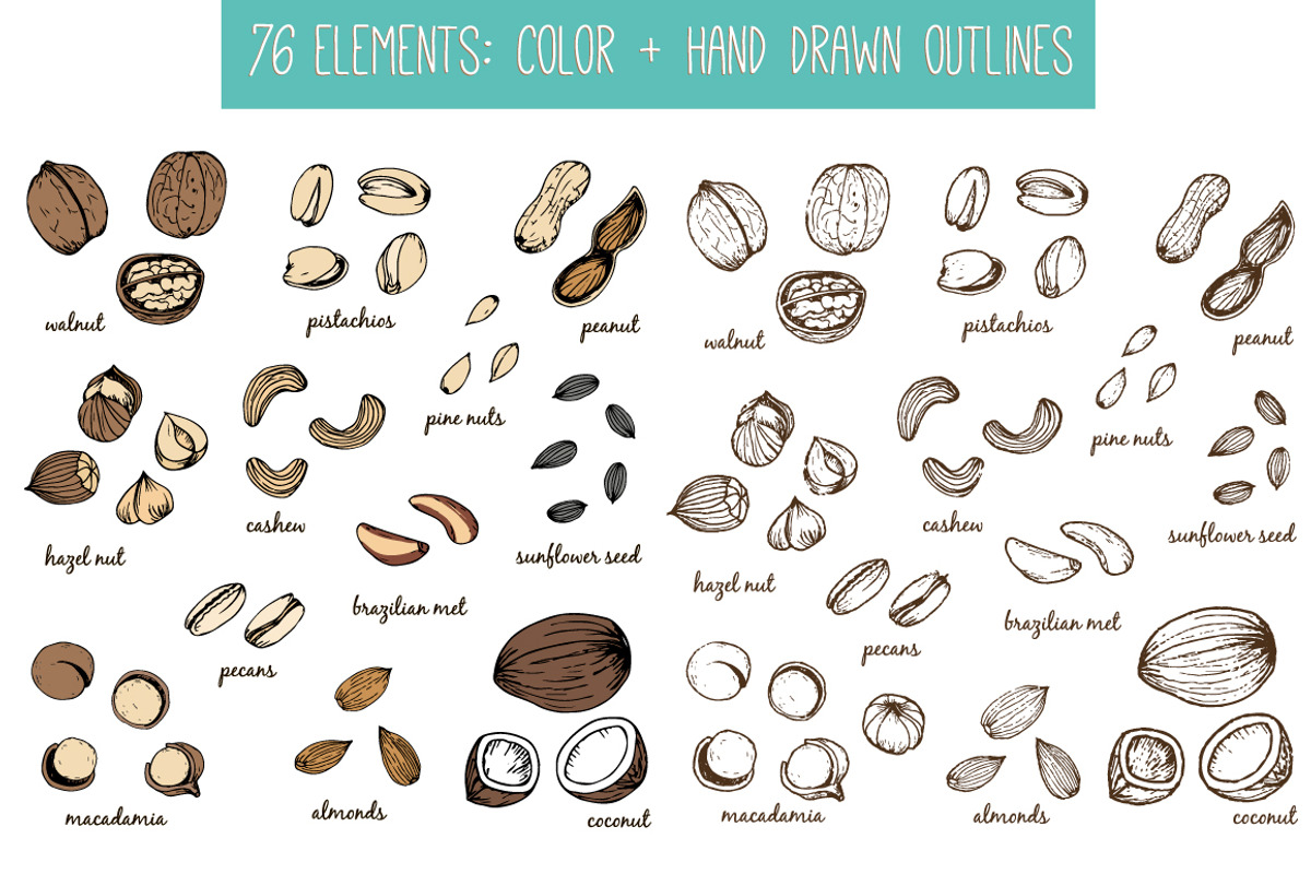 Nuts and seeds with seamless pattern, a Food Illustration by Tatti Graphic Studio (Photo 2 of 3)