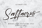 Saltacrus//Chic Signature Font, a Script Font by HanzelSpace Studio (Thumbnail 1 of 10)