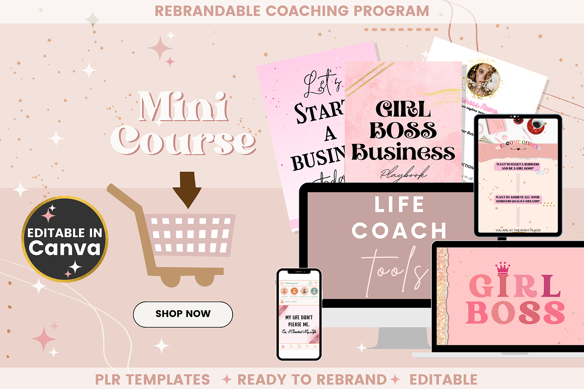 Mini Course for Female Life Coach, a Templates & Theme by bellaROSEworkshop (Photo 10 of 10)
