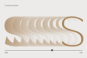 Carfield, a Serif Font by din-studio.com (Thumbnail 3 of 11)