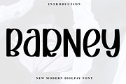 Barney, a Serif Font by FreshTypeINK (Thumbnail 1 of 7)