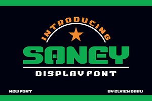Saney - Bold Display Font