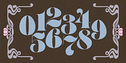 Petals BF, a Serif Font by Bomparte’s Fonts (Thumbnail 7 of 11)