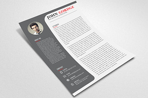 Professinal Job CV Resume Template