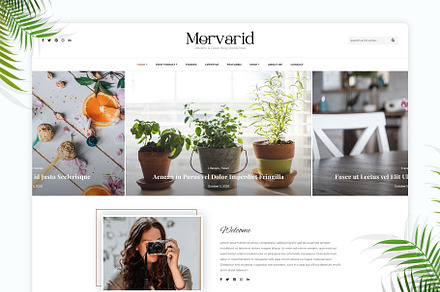 Morvarid - Blog & Shop WP Theme