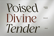 CS Quiles – Elegant Font, a Serif Font by Craft Supply Co. (Thumbnail 5 of 8)