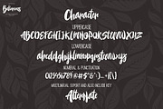 Bellarious (intro sale + Bonus), a Script Font by Rvq Type Foundry (Thumbnail 3 of 9)