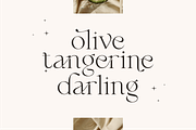 Fragile - Modern Serif, a Serif Font by Sans & Sons (Thumbnail 7 of 10)
