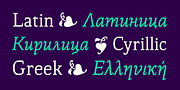 Thalweg, a Serif Font by Ani Dimitrova (Thumbnail 4 of 15)