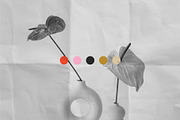 Anthurium Print Cards Collection, a Stationery Template by Evgeniya Goktas (Thumbnail 7 of 7)