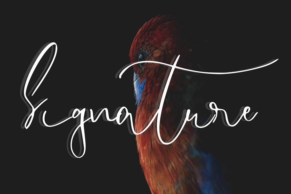 endossement font preview 5