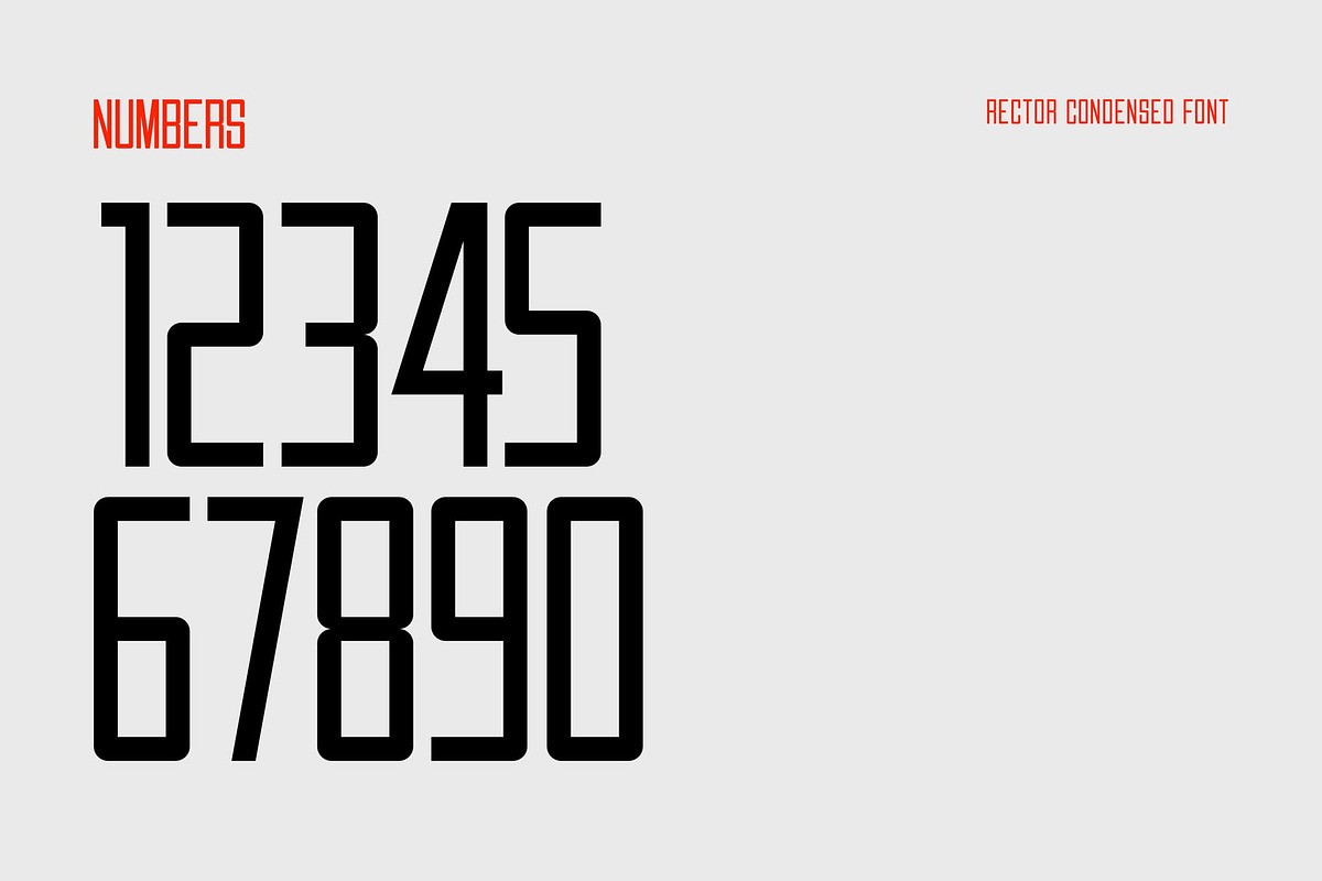 Rector, a Sans Serif Font by Lemockup (Photo 3 of 13)
